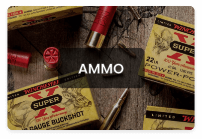 Shop - Ammo