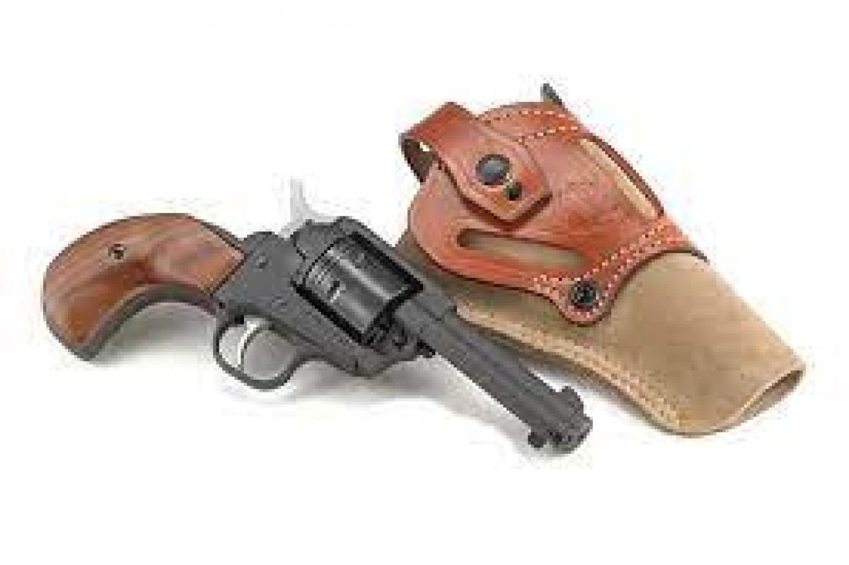 Ruger Wrangler .22 LR, 