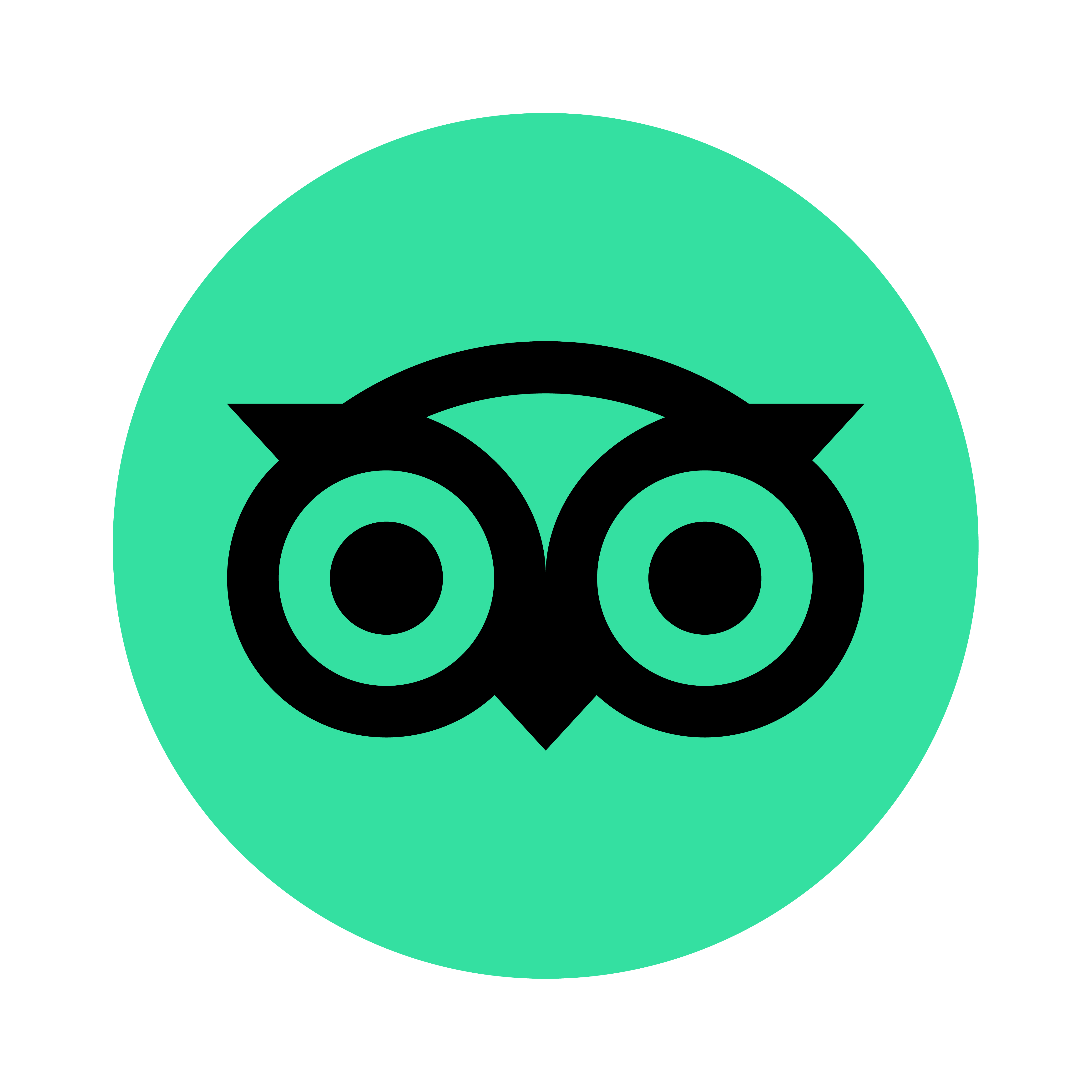 Tripadvisor Logo circle green